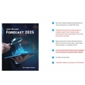 Larry Williams Forecast Report 2025